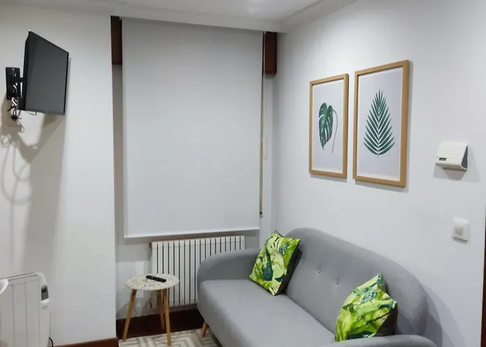 Parking Gratis, Centrico Y Acogedor Vigo